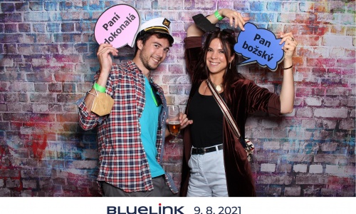 BLUELINK